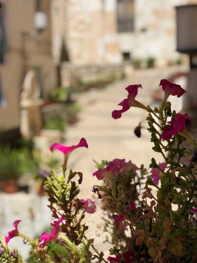 Casa Rural Mirador Bocairent Eksteriør billede